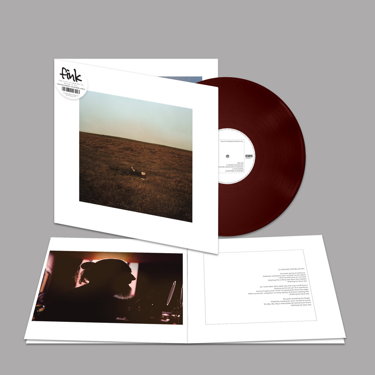 Fink ‎– The City Is Coming To Erase It All / Vinyl LP on COLORED
