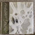 Elori Saxl – Drifts And Surfaces / Vinyl LP on Clear