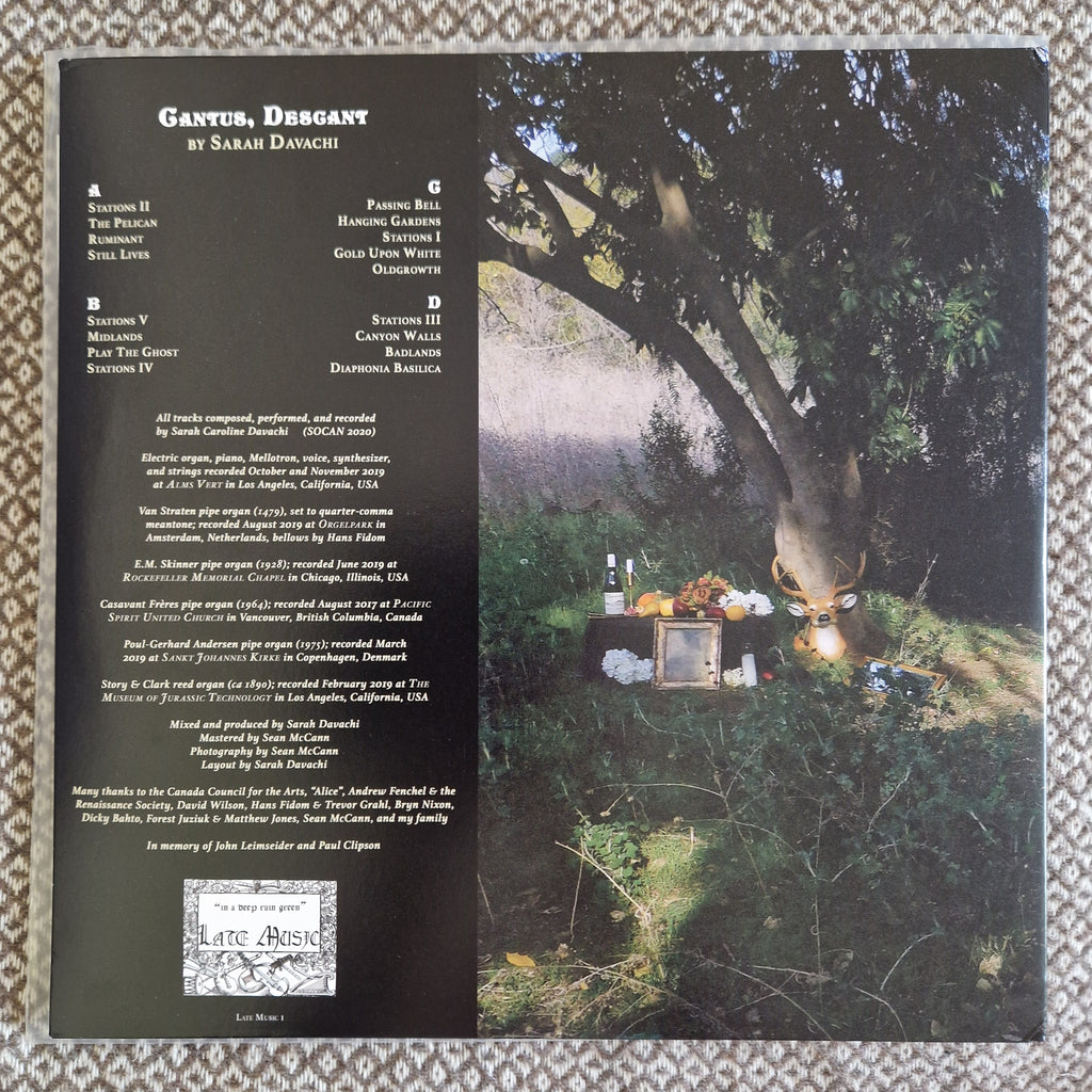 Sarah Davachi – Cantus, Descant / Vinyl 2LP on Clear SIGNED / AUTOGRAPHED