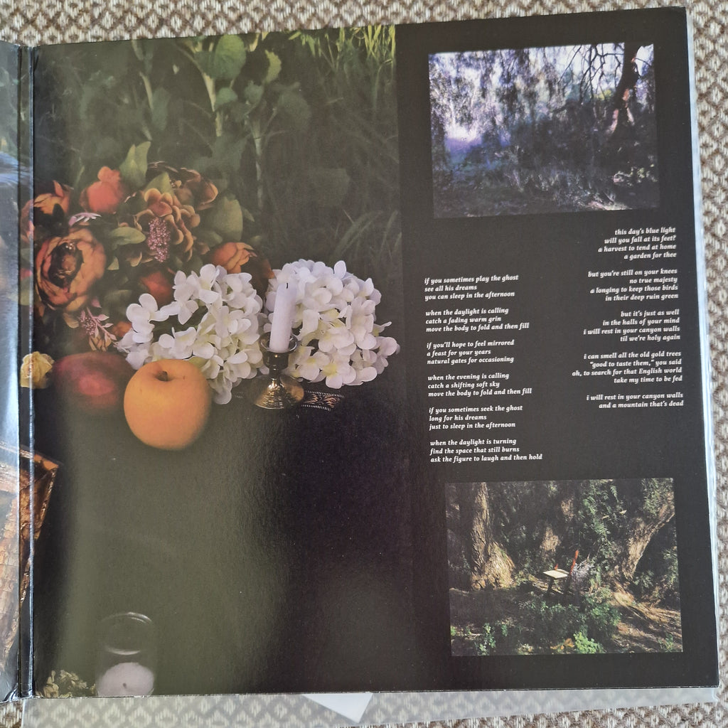 Sarah Davachi – Cantus, Descant / Vinyl 2LP on Clear SIGNED / AUTOGRAPHED