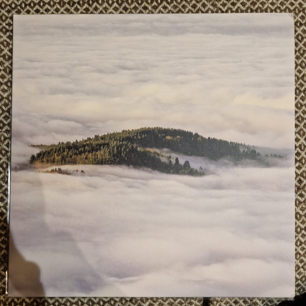 Coltaine ‎– Forgotten Ways / Vinyl LP