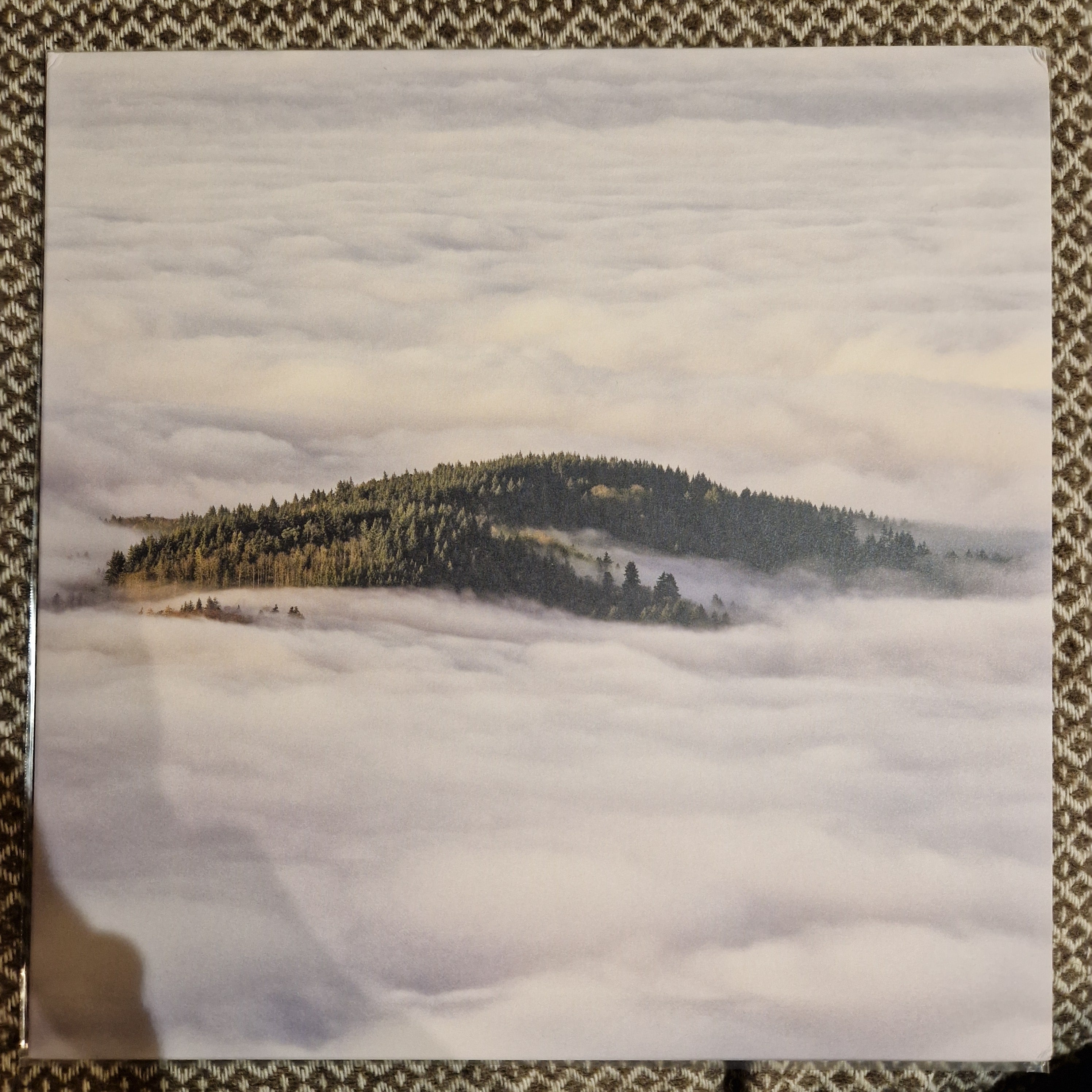 Coltaine ‎– Forgotten Ways / Vinyl LP