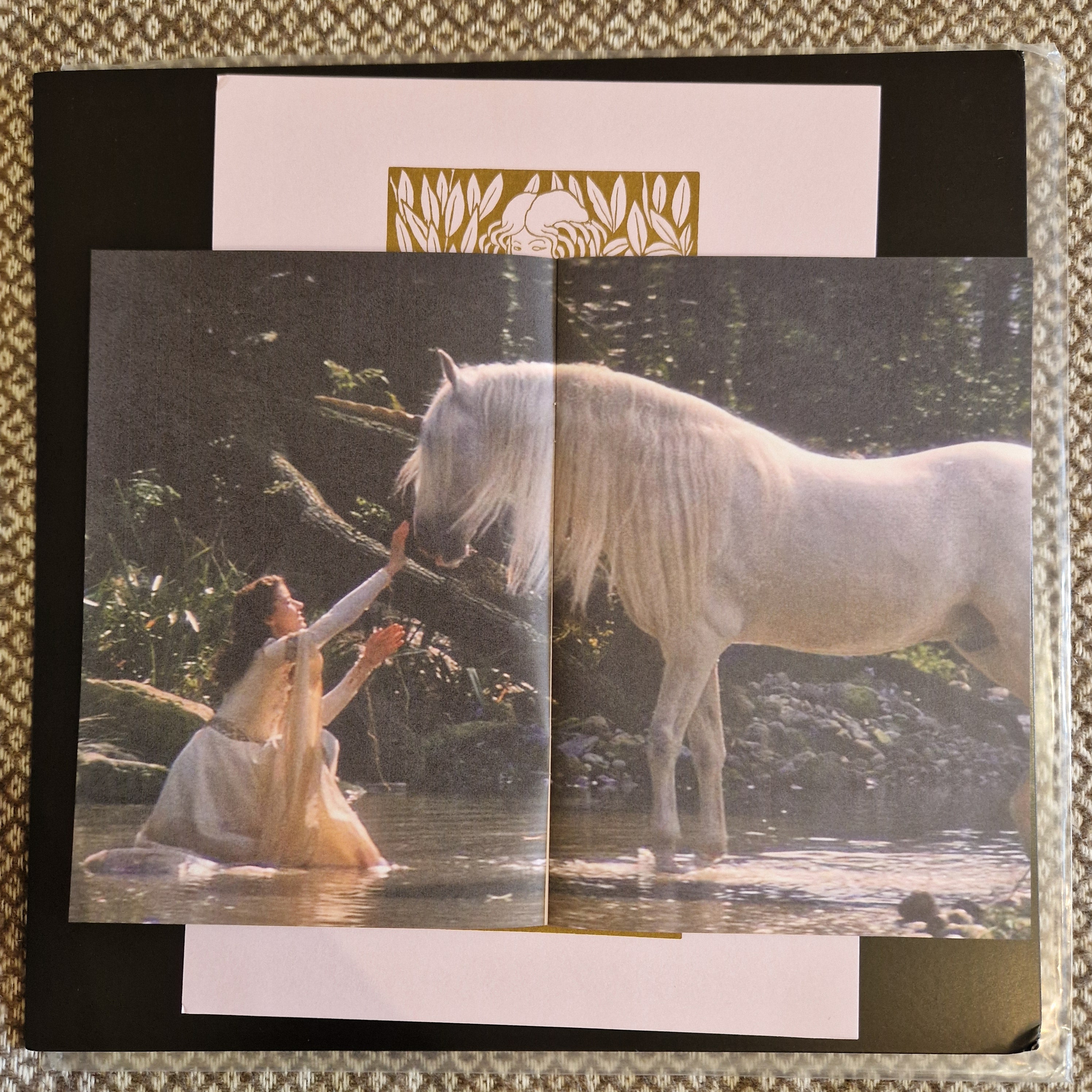 Romance – Over The Hills & Far Away / Vinyl LP on Enchanted Elfstone