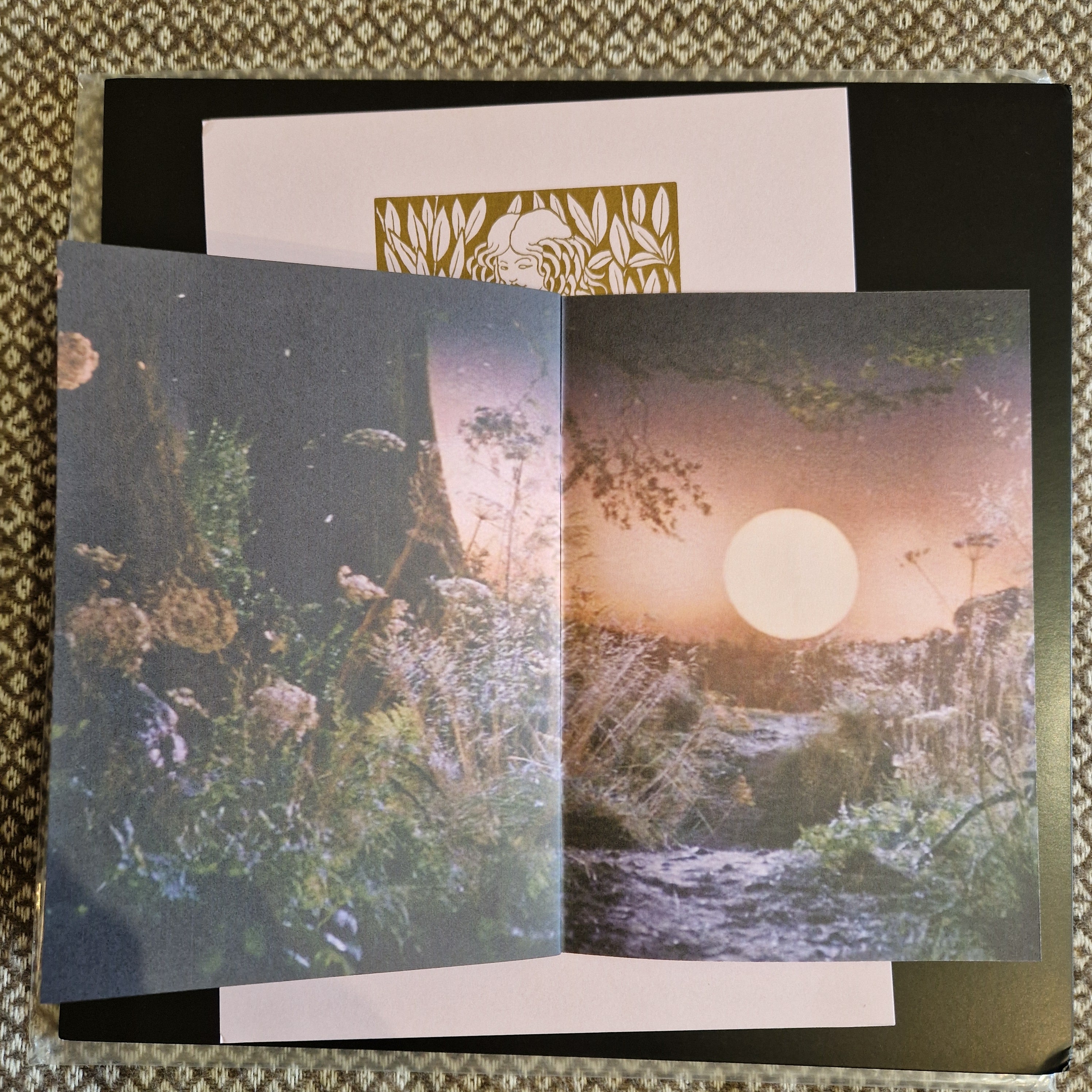 Romance – Over The Hills & Far Away / Vinyl LP on Enchanted Elfstone