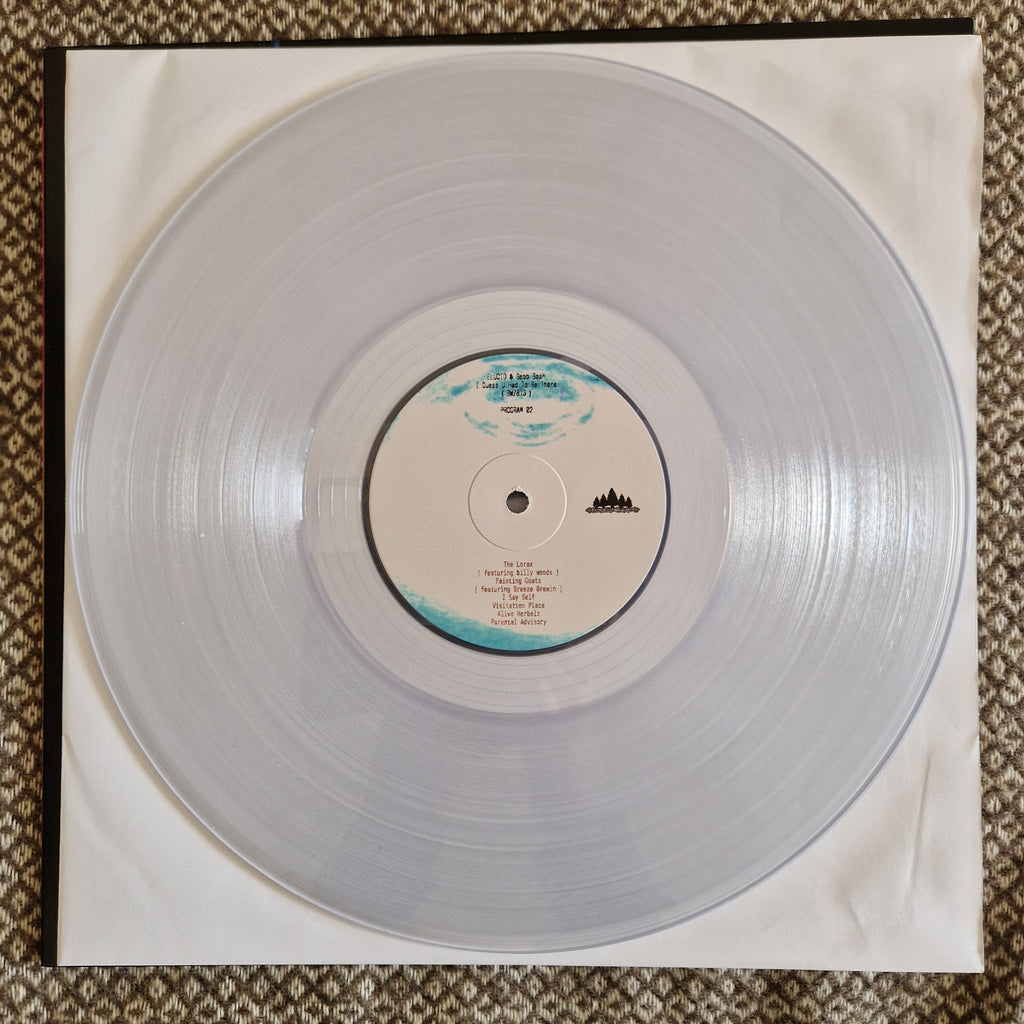 Elucid, Sebb Bash – I Guess U Had To Be There / Vinyl LP on Transparent / SIGNED