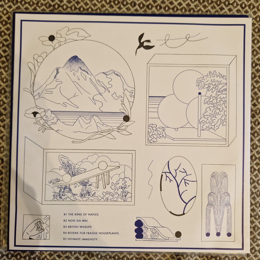 Tomaga – Intimate Immensity / Vinyl LP SIGNED AUTOGRAPHED by Valentina Magaletti