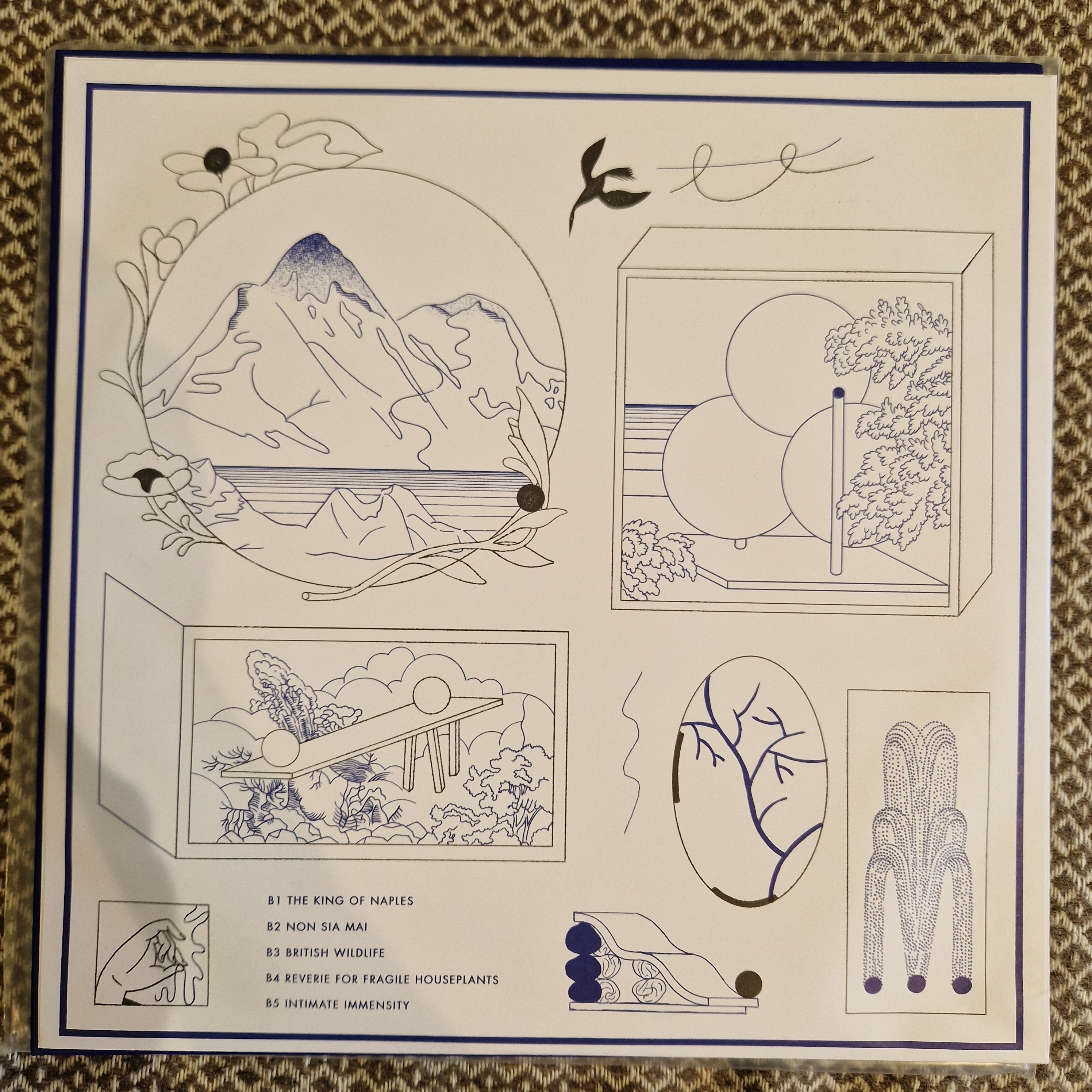 Tomaga – Intimate Immensity / Vinyl LP SIGNED AUTOGRAPHED by Valentina Magaletti