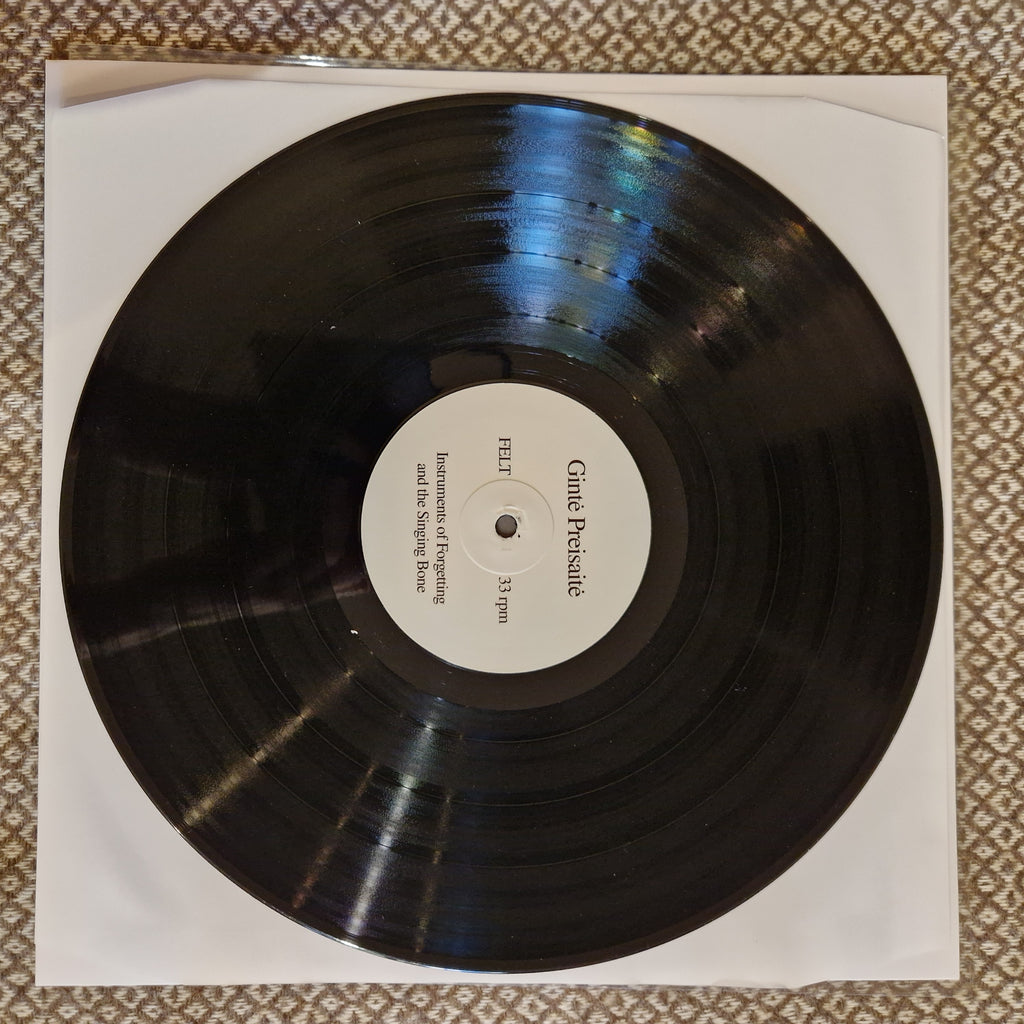 Gintė Preisaitė – Instruments of Forgetting and the Singing Bone / Vinyl LP