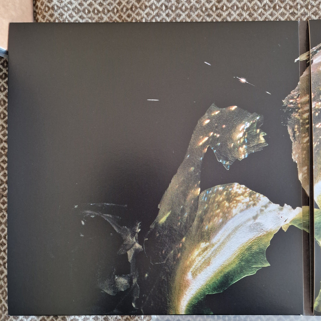 The Evpatoria Report – Golevka + S/T / Vinyl 2LP on Smoke