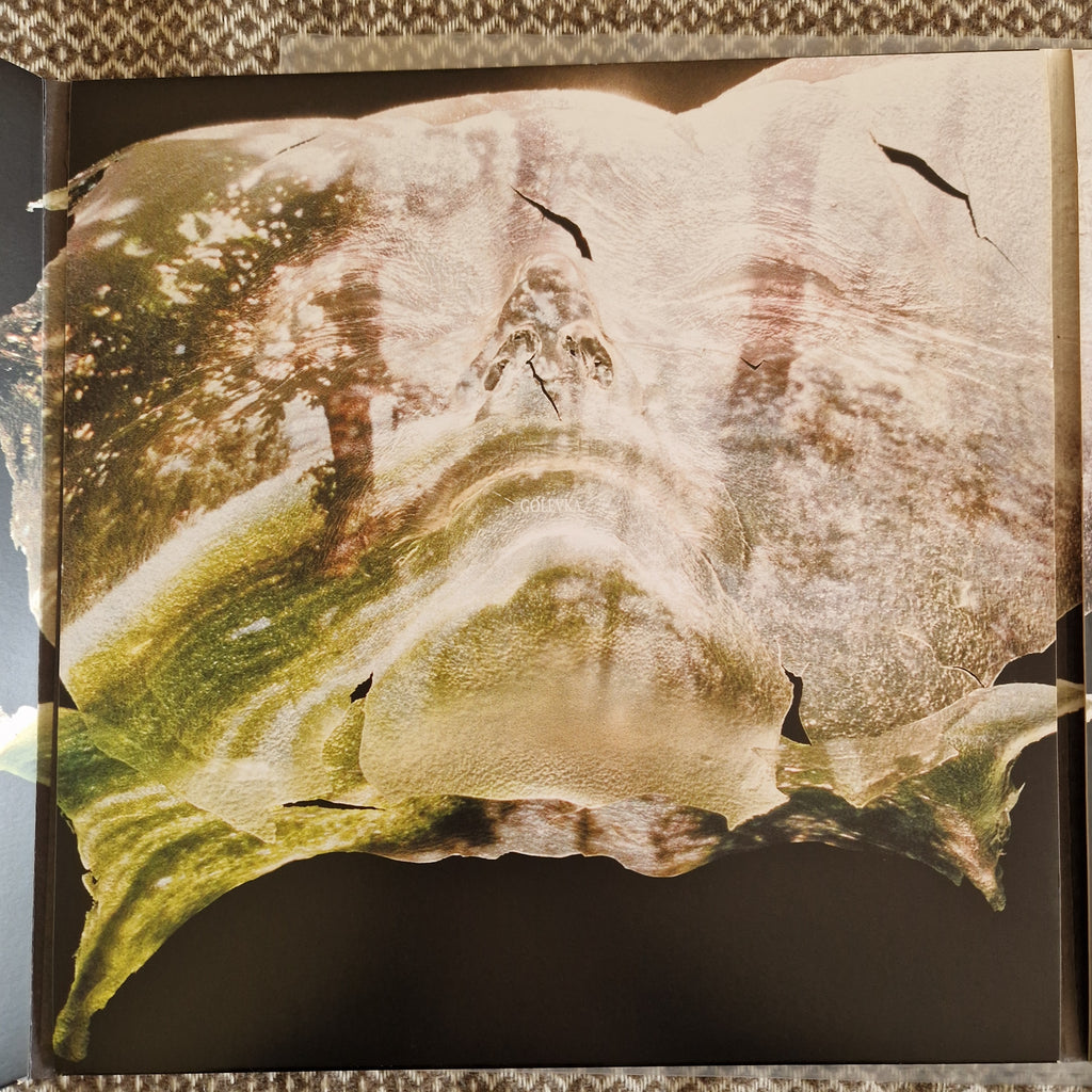 The Evpatoria Report – Golevka + S/T / Vinyl 2LP on Smoke