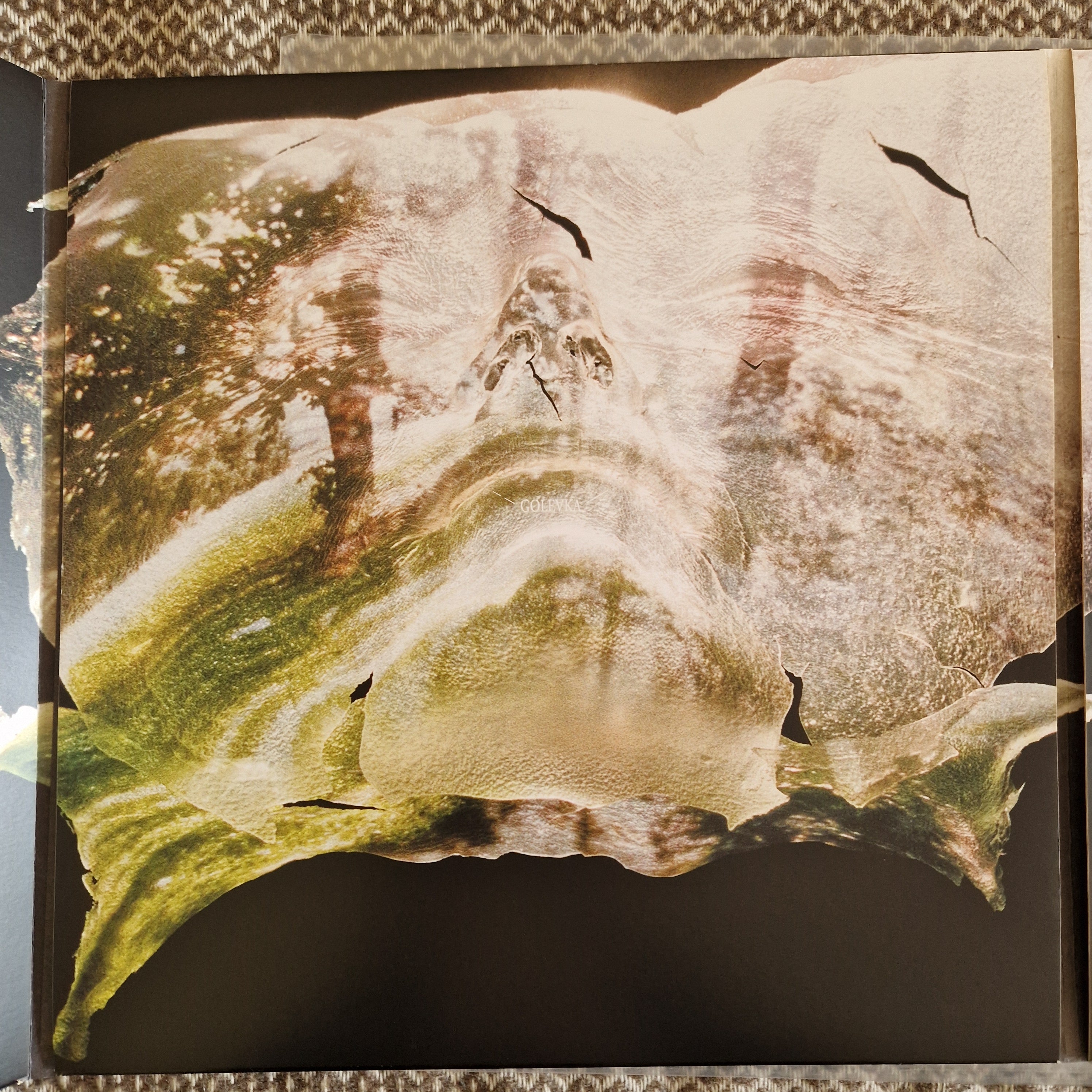The Evpatoria Report – Golevka + S/T / Vinyl 2LP on Smoke