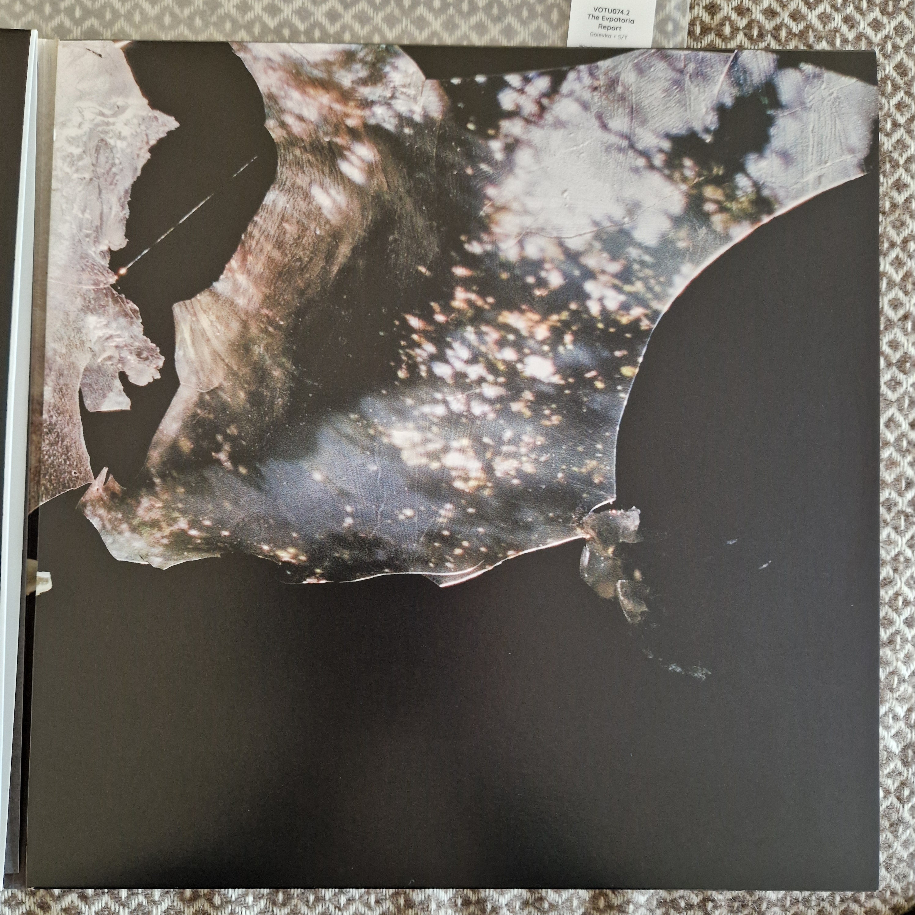 The Evpatoria Report – Golevka + S/T / Vinyl 2LP on Smoke