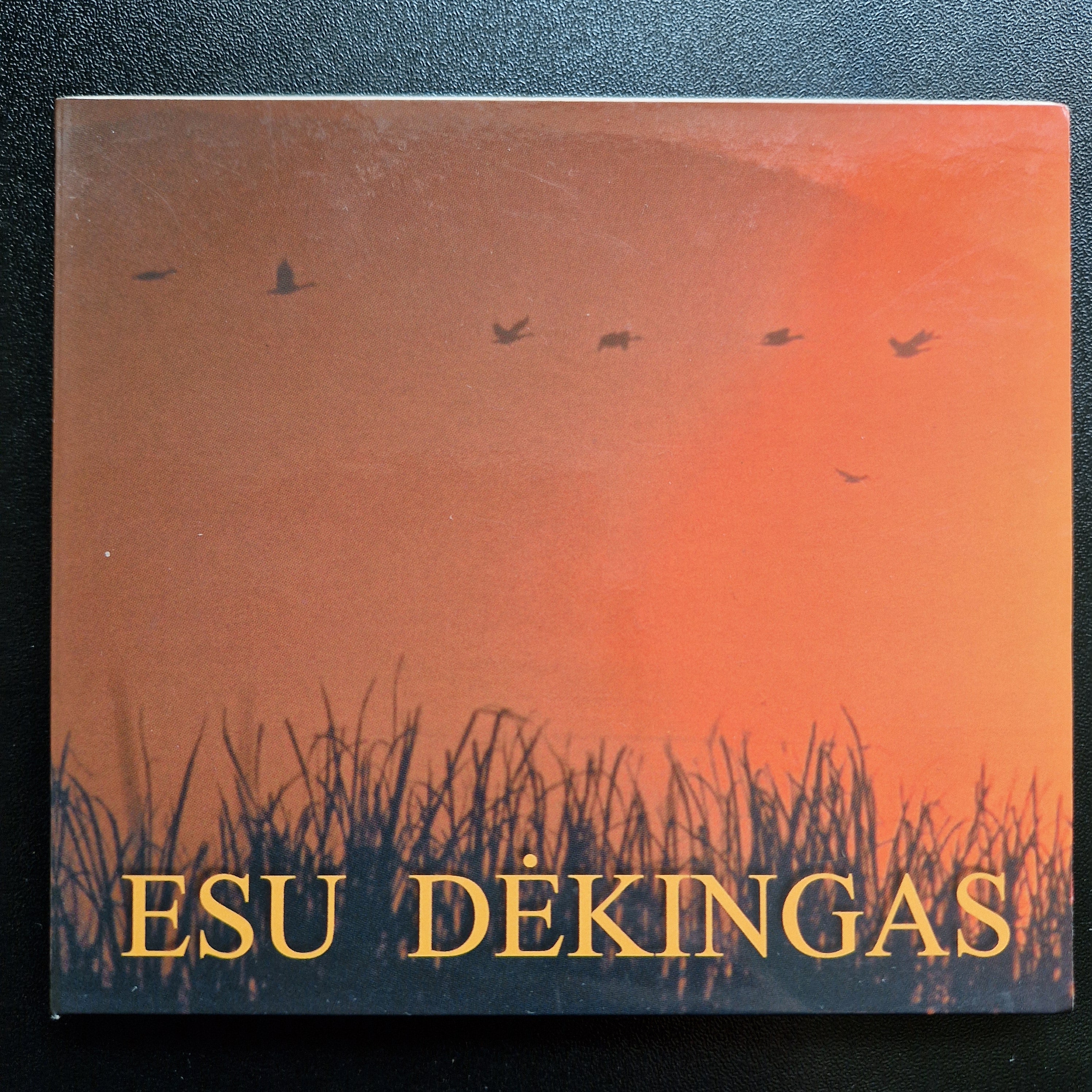 Žydrūnas Serepinas – Esu Dėkingas / CDr Album
