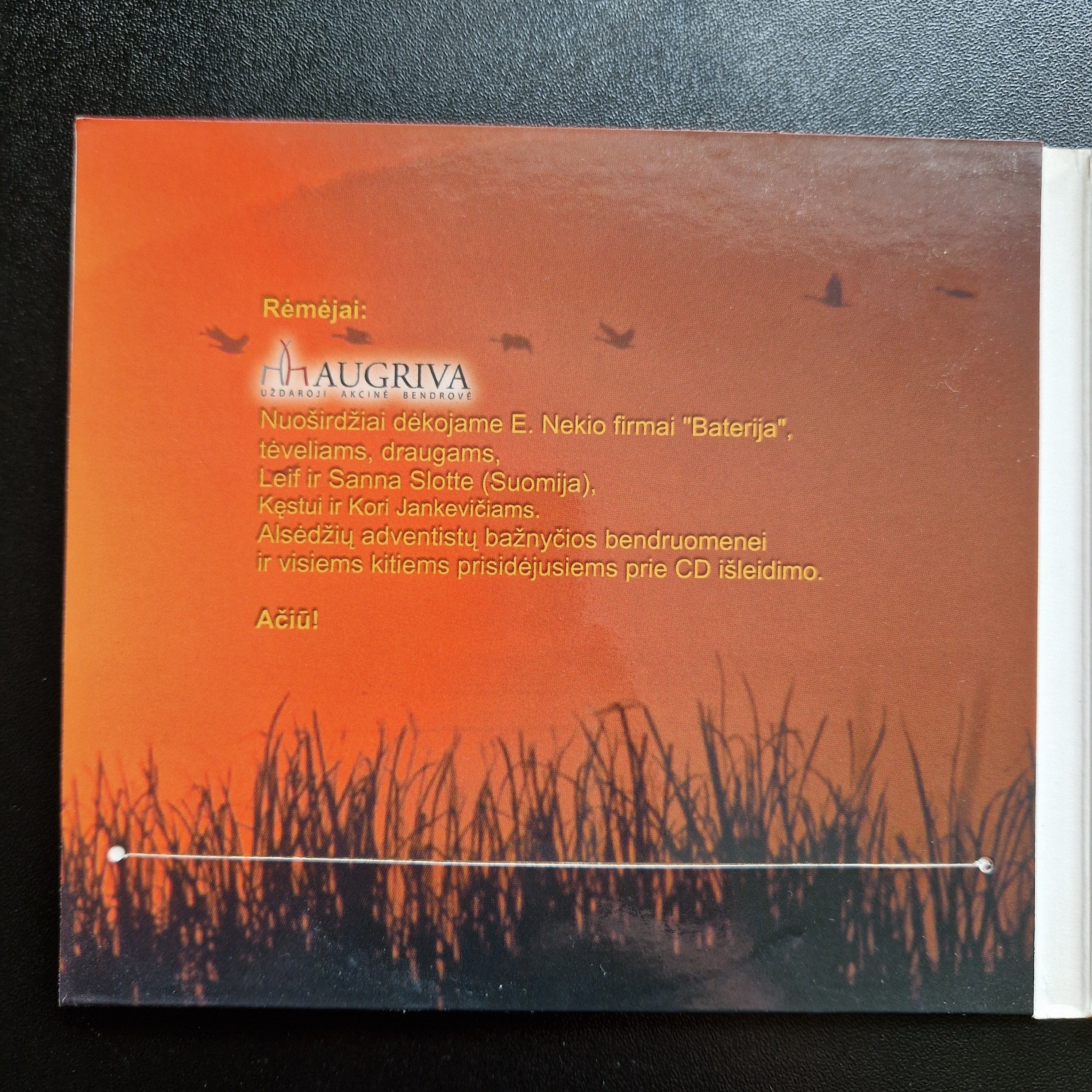 Žydrūnas Serepinas – Esu Dėkingas / CDr Album