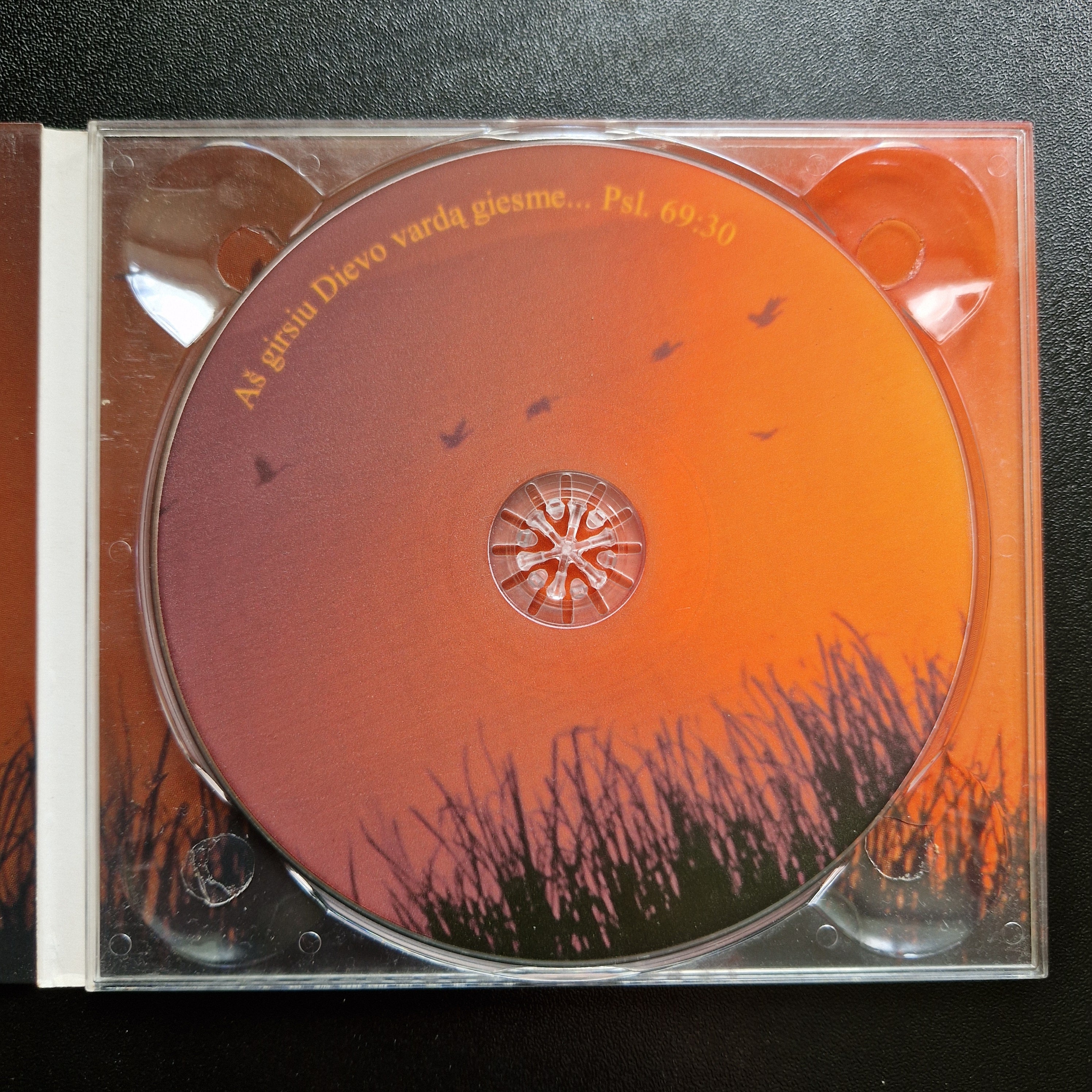 Žydrūnas Serepinas – Esu Dėkingas / CDr Album