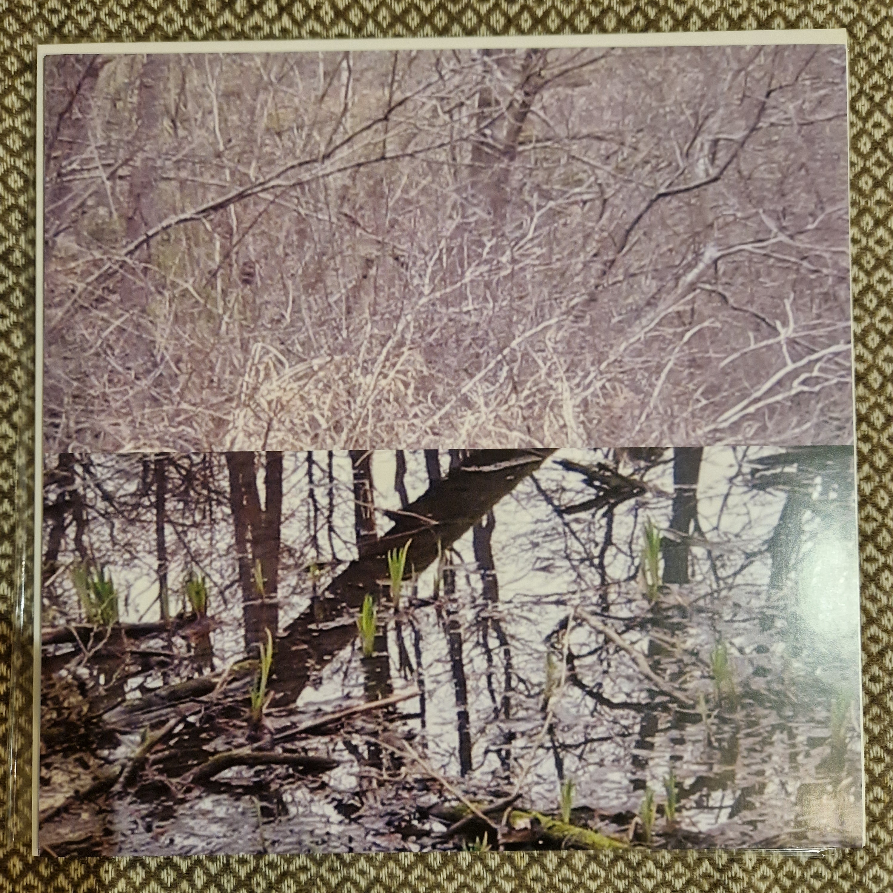 Bladee - Eversince / Vinyl LP on COLORED