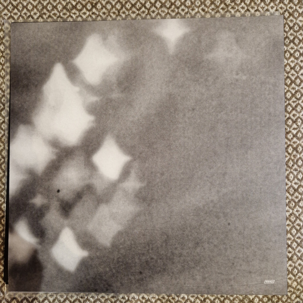 Grouper - A I A: Alien Observer / Vinyl LP
