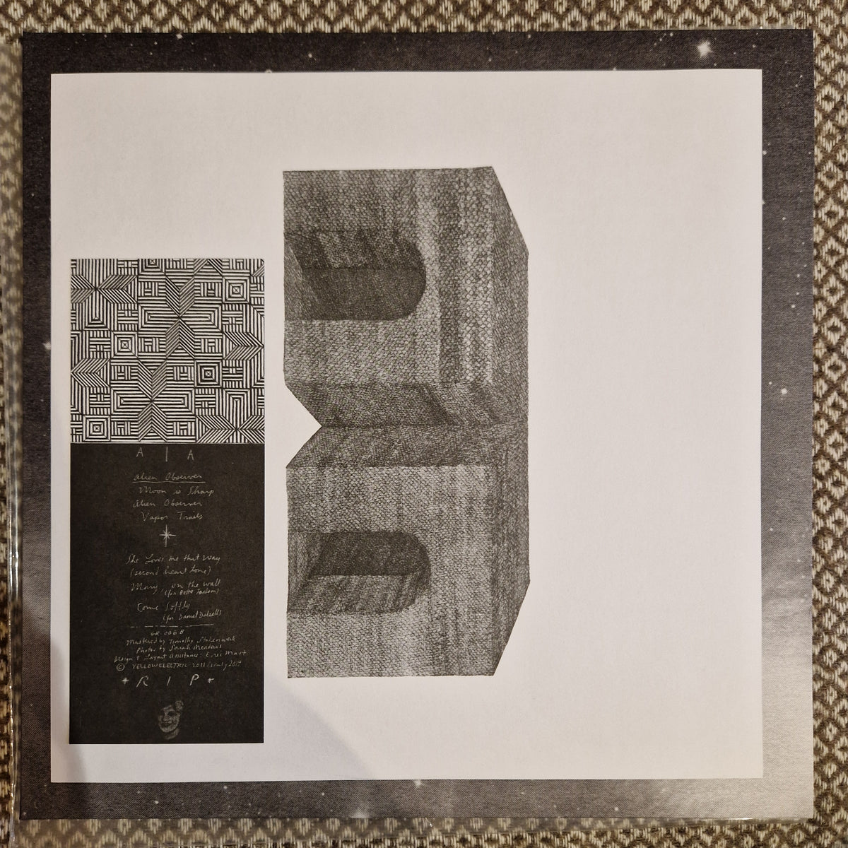 Grouper - A I A: Alien Observer / Vinyl LP