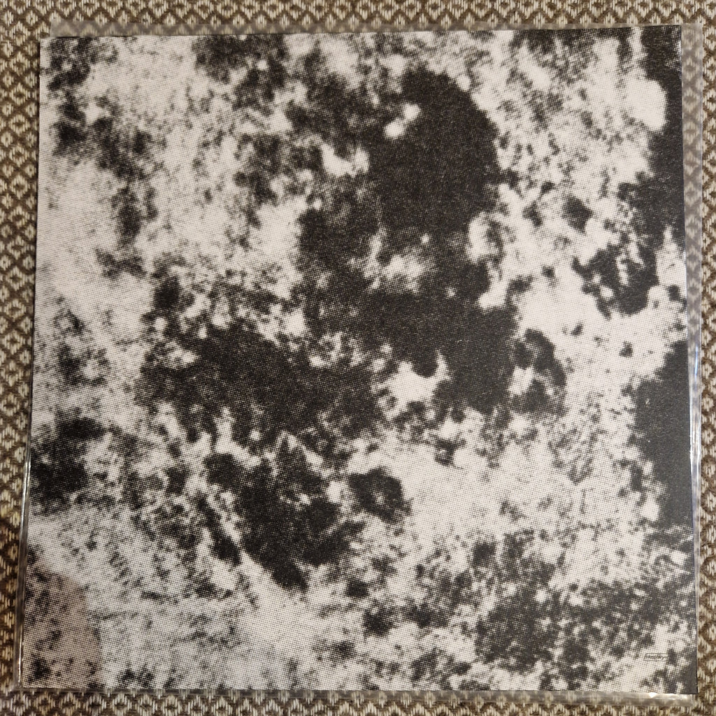 Grouper ‎– A I A : Dream Loss / Vinyl LP