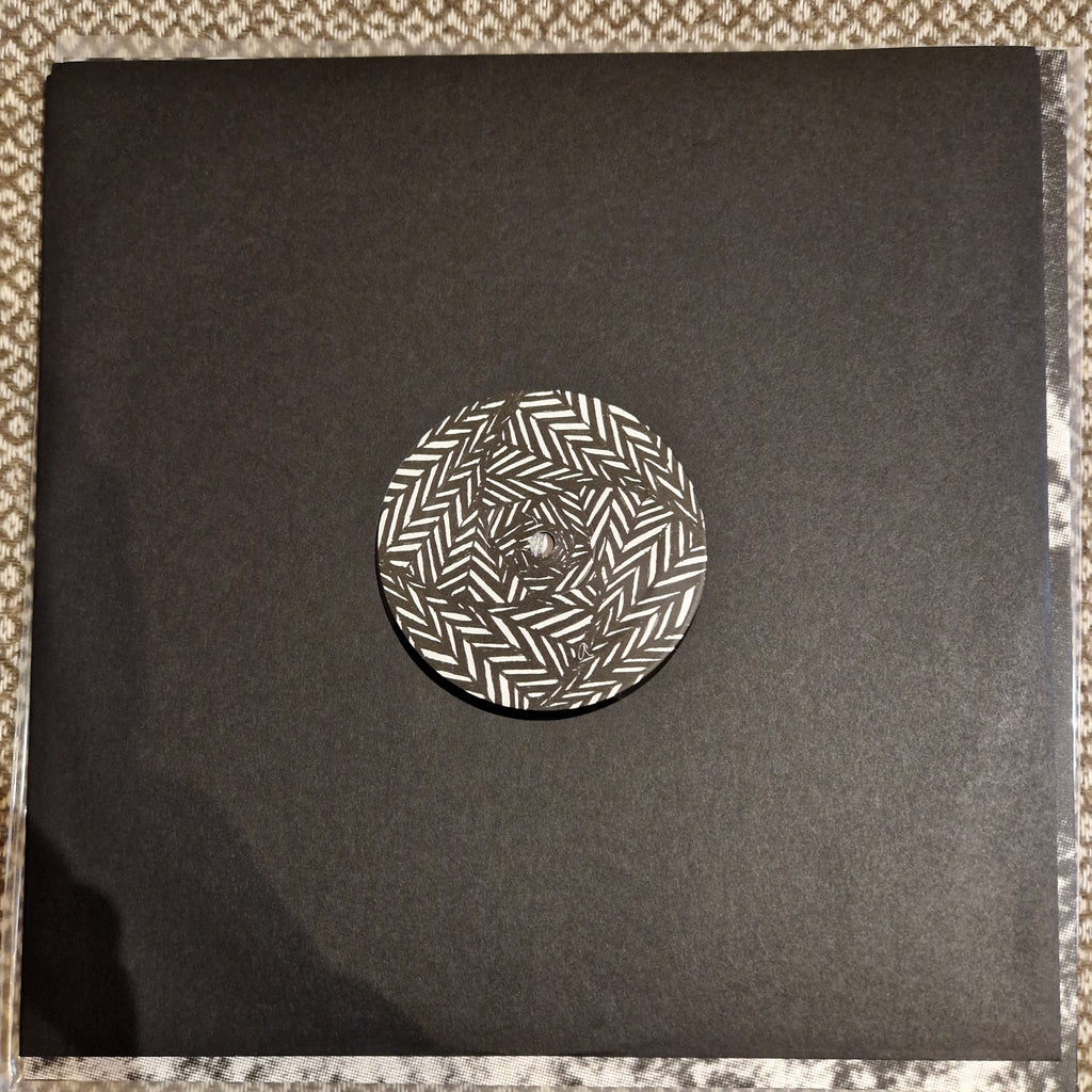 Grouper ‎– A I A : Dream Loss / Vinyl LP