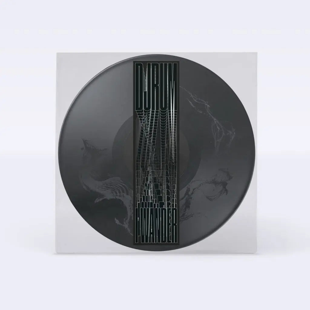 Djrum - I Wander / Vinyl 12" on PICTURE DISC presale