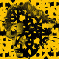 Tyondai Braxton - Splayed Werks / Vinyl 2LP + SIGNED PRINT presale