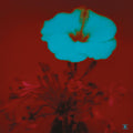 John Beltran - Sunrise And The Way We Live / Vinyl 2LP presale