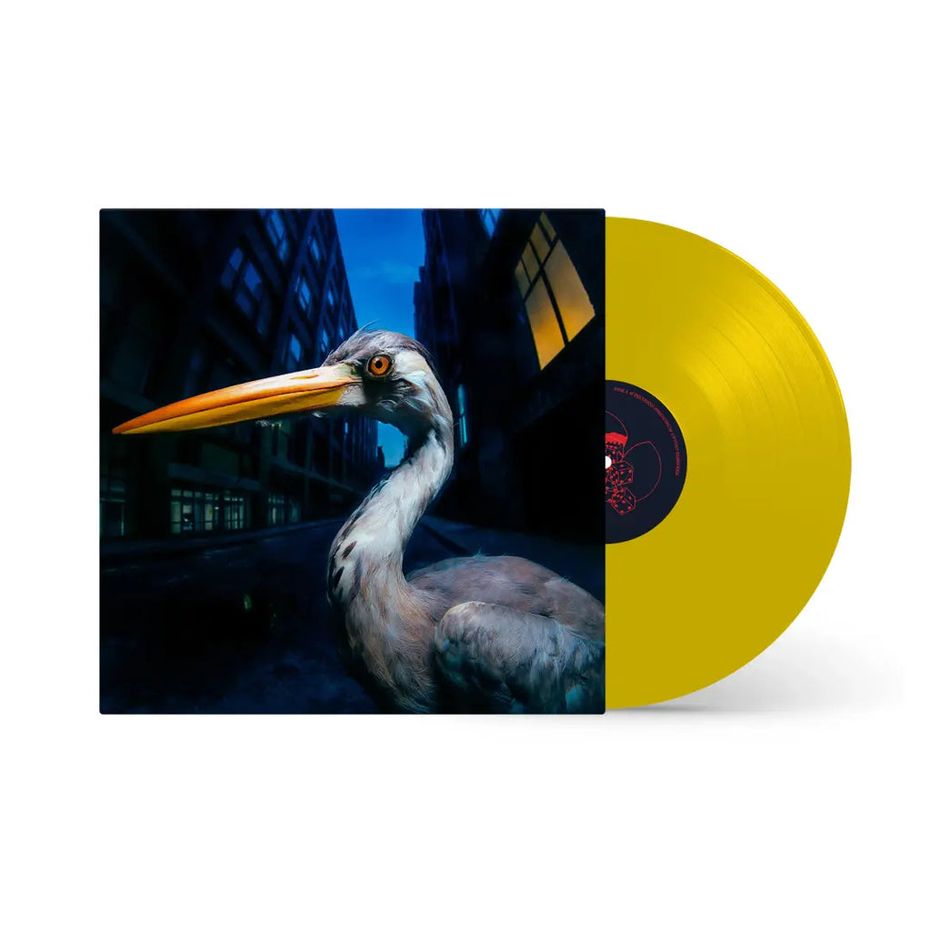 Antony Szmierek - Decoding Birdsong / Vinyl LP on COLORED