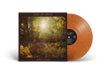 Alex Amen - Sun of Amen / Vinyl LP on COLORED
