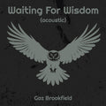 Gaz Brookfield - Solo Acoustic Guy 7: Waiting For Wisdom (aco / CD Album