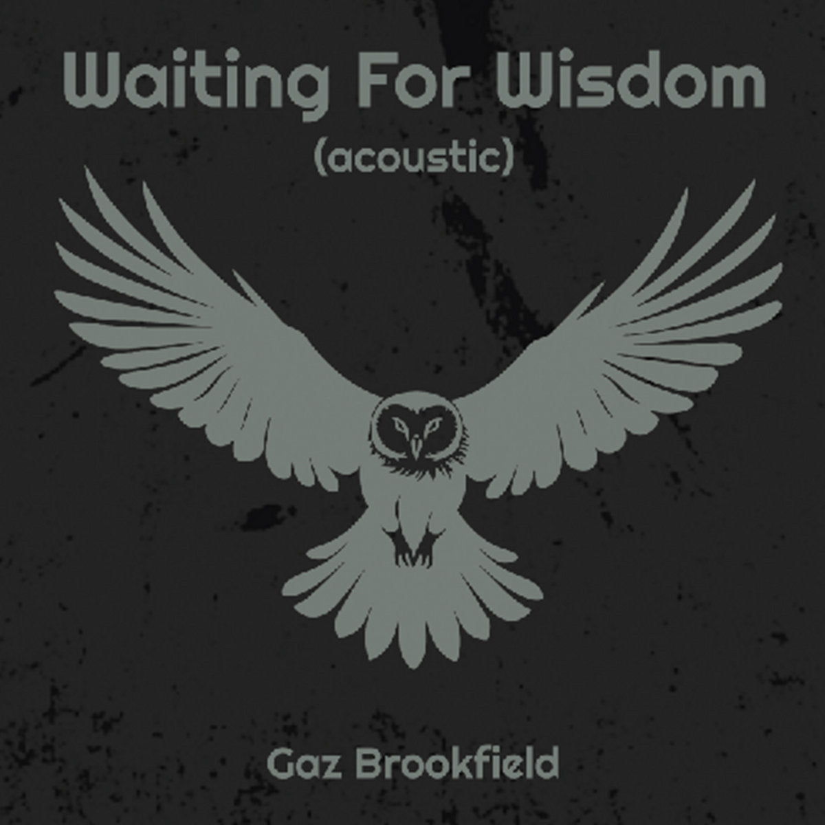 Gaz Brookfield - Solo Acoustic Guy 7: Waiting For Wisdom (aco / CD Album