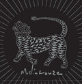Muslimgauze - Sia Psam remix / CD Album