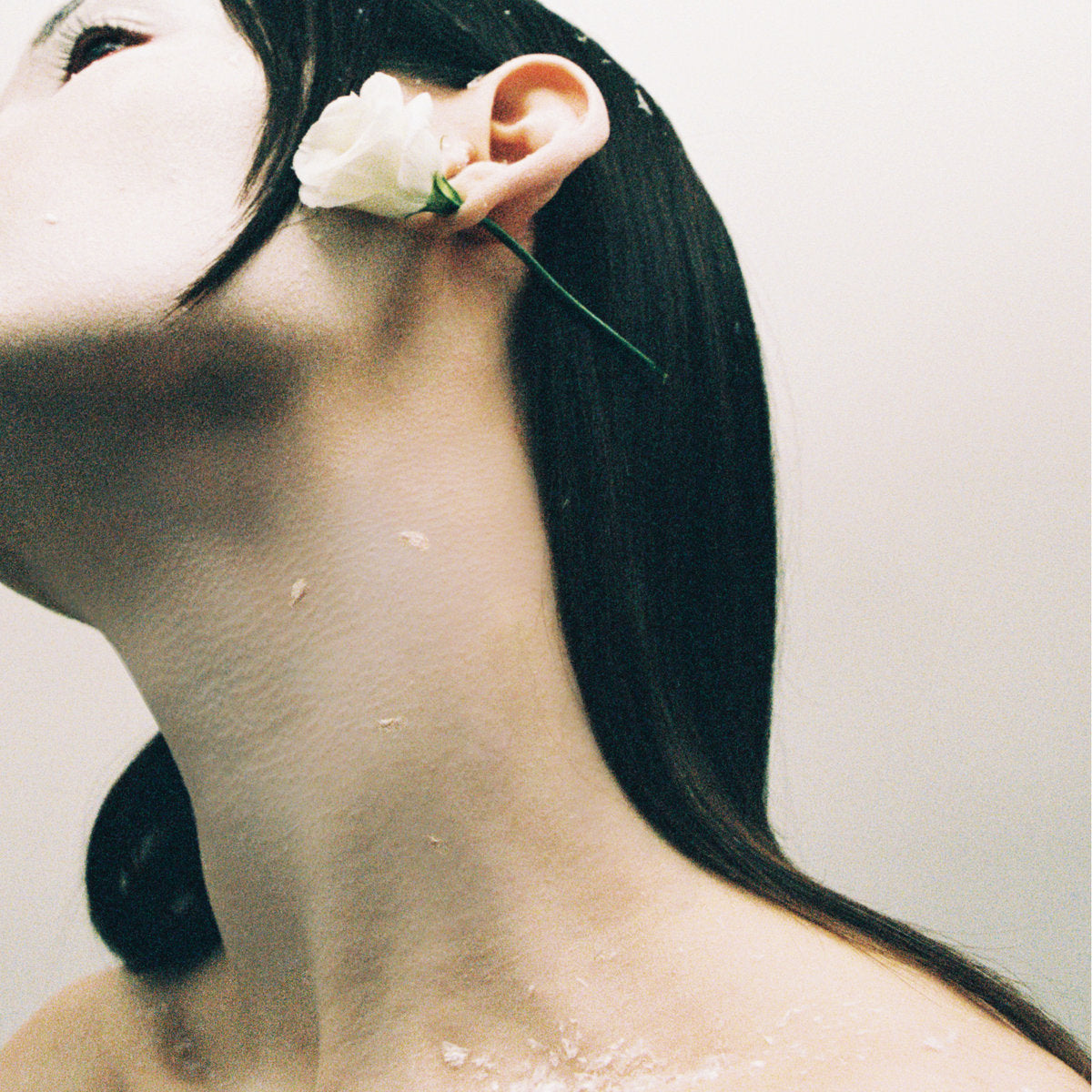 Rosa Damask - Adore You / Vinyl LP presale