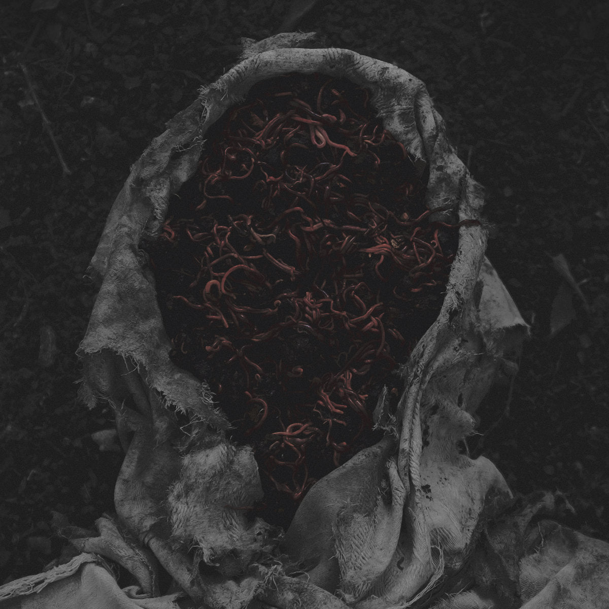 Gorrch – Stillamentum / Vinyl LP on COLORED