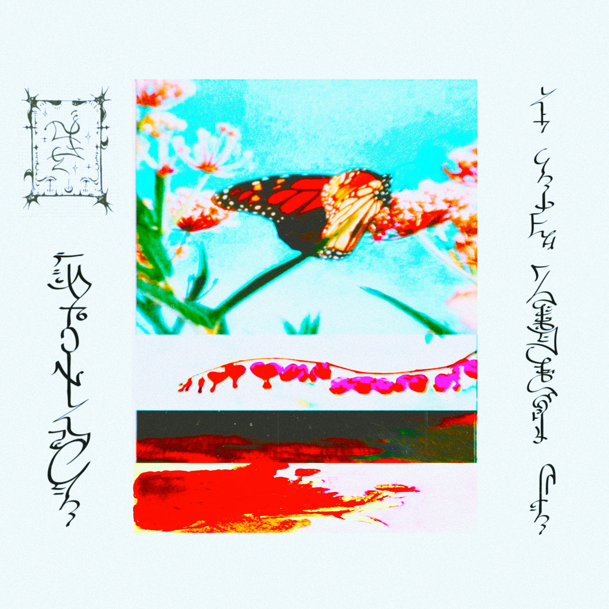 Trhä – lact’eben / Vinyl LP on COLORED
