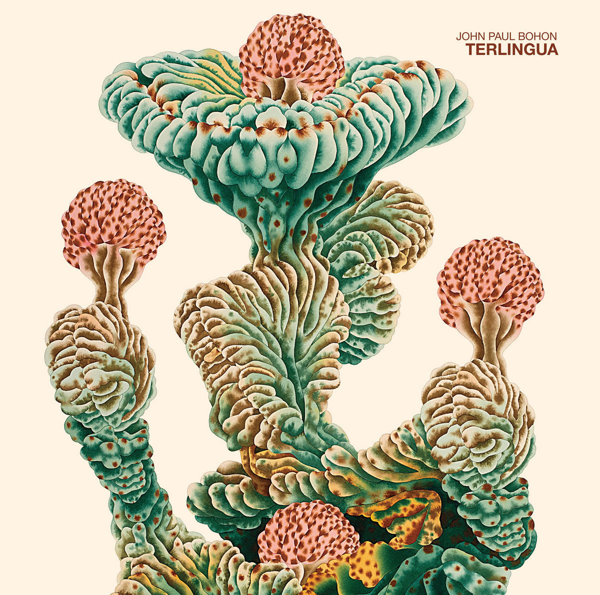 John Paul Bohon - Terlingua / Vinyl LP