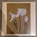Sara Udon - II = II / Vinyl LP on Clear (CS + Kreme and KAKUHAN)