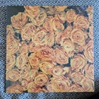 Not Waving - The Place I've Been Missing / Vinyl LP limited on BLUE