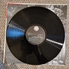Nirvana ‎– MTV Unplugged In New York / Vinyl LP (2008 pressing)