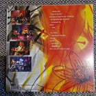 Nirvana ‎– MTV Unplugged In New York / Vinyl LP (2008 pressing)