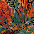 Akusmi - Terra Incognita / Vinyl LP on COLORED