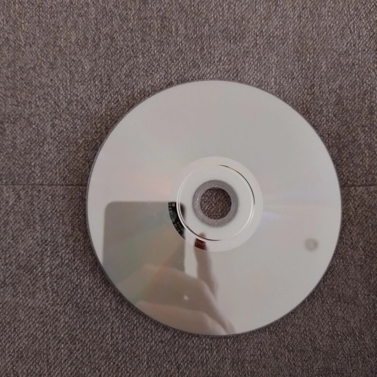 Walking With Disonaurs The Movie DVD