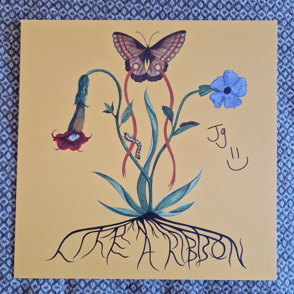 John Glacier - Like A Ribbon / Vinyl LP / SIGNED / AUTOGRAPHED PRINT