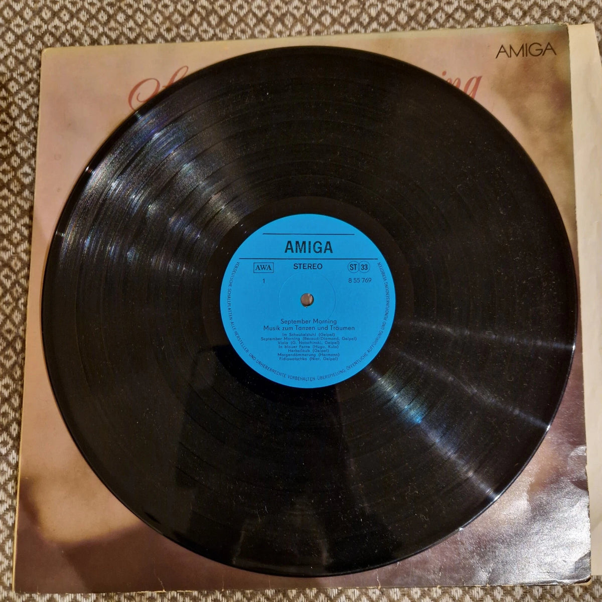 Rundfunk-Tanzstreichorchester Berlin – September-Morning (Musik Zum T / Vinyl LP