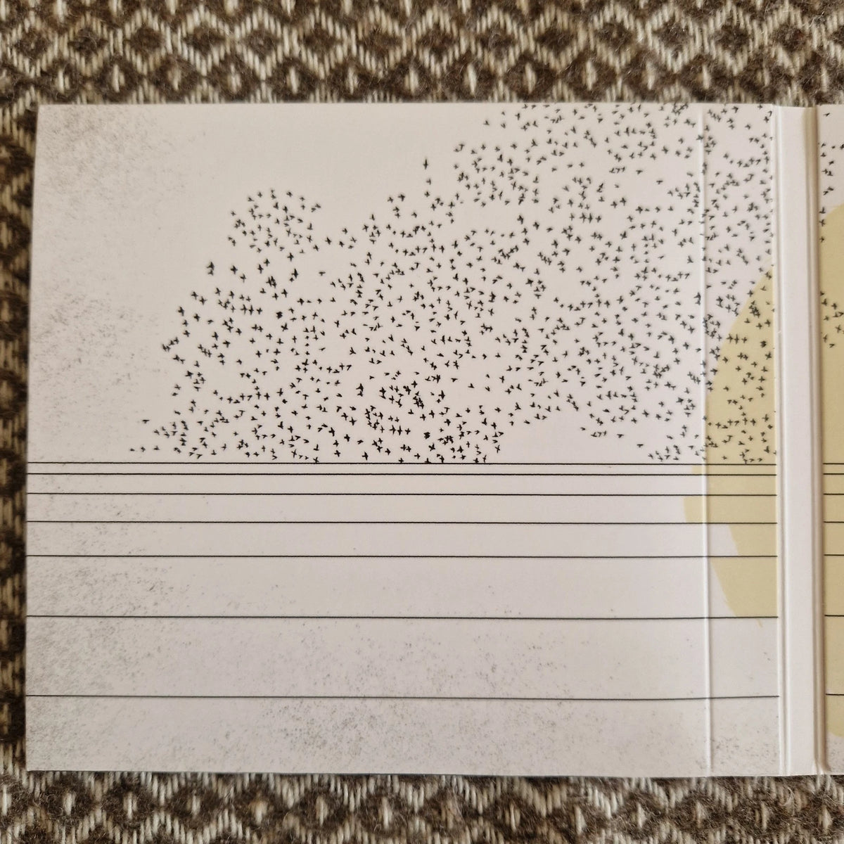 We Lost The Sea - A Single Flower / CD Album