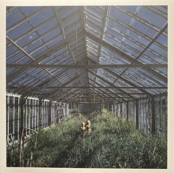 Foxing – Dealer / Vinyl LP