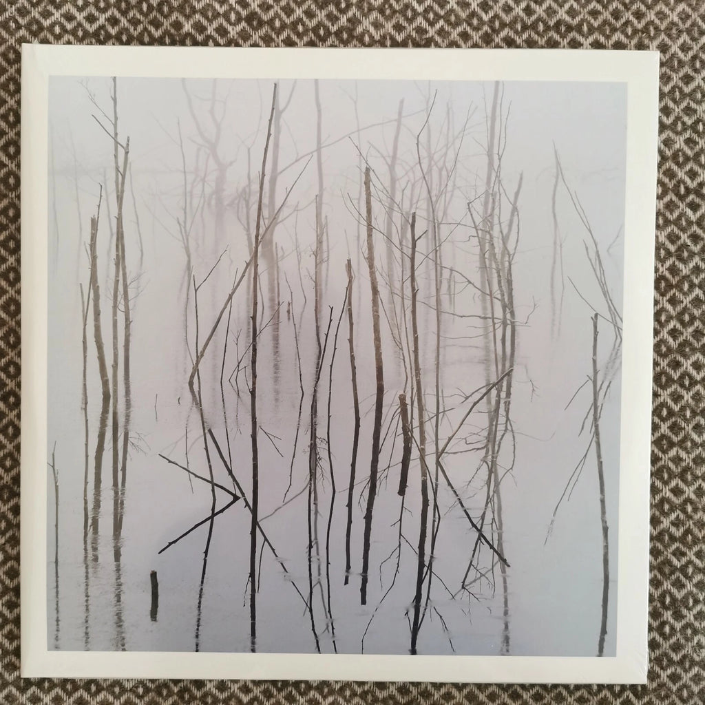 Olhava - Frozen Bloom / Vinyl 2xLP limited edition