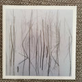 Olhava - Frozen Bloom / Vinyl 2xLP limited edition