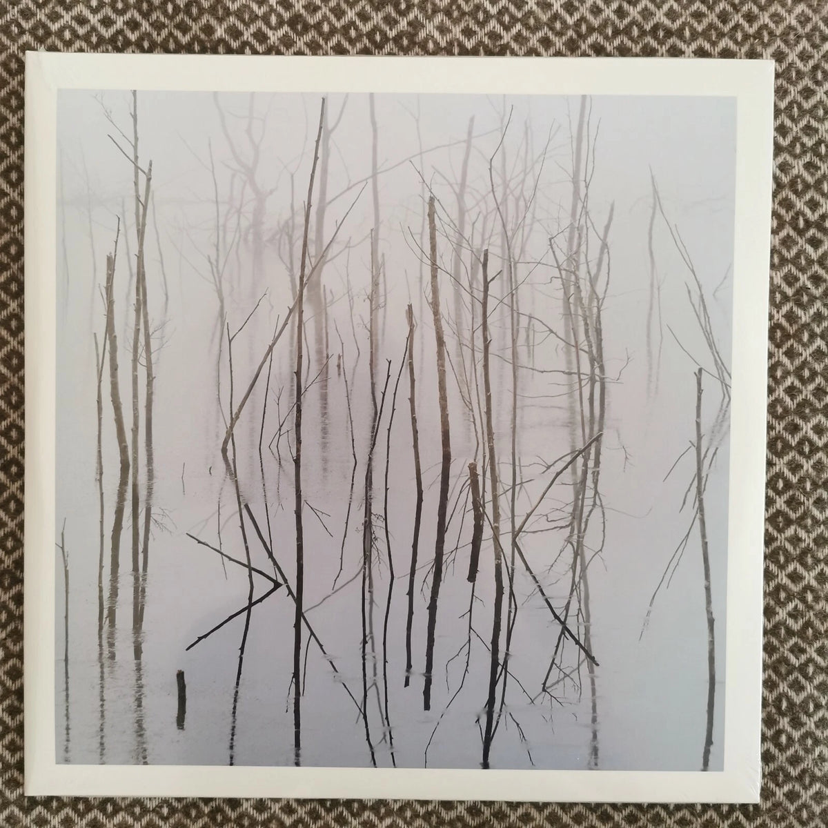 Olhava - Frozen Bloom / Vinyl 2xLP limited edition