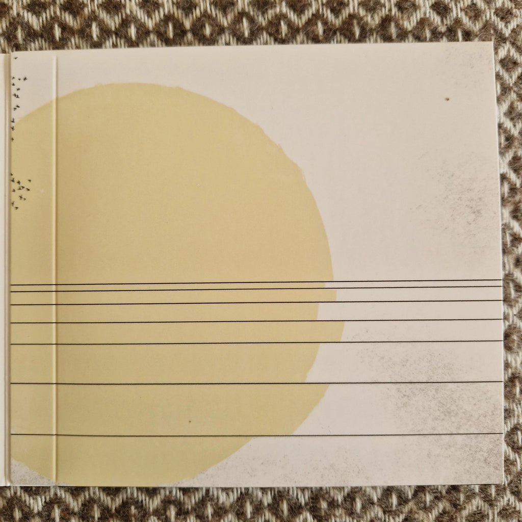 We Lost The Sea - A Single Flower / CD Album